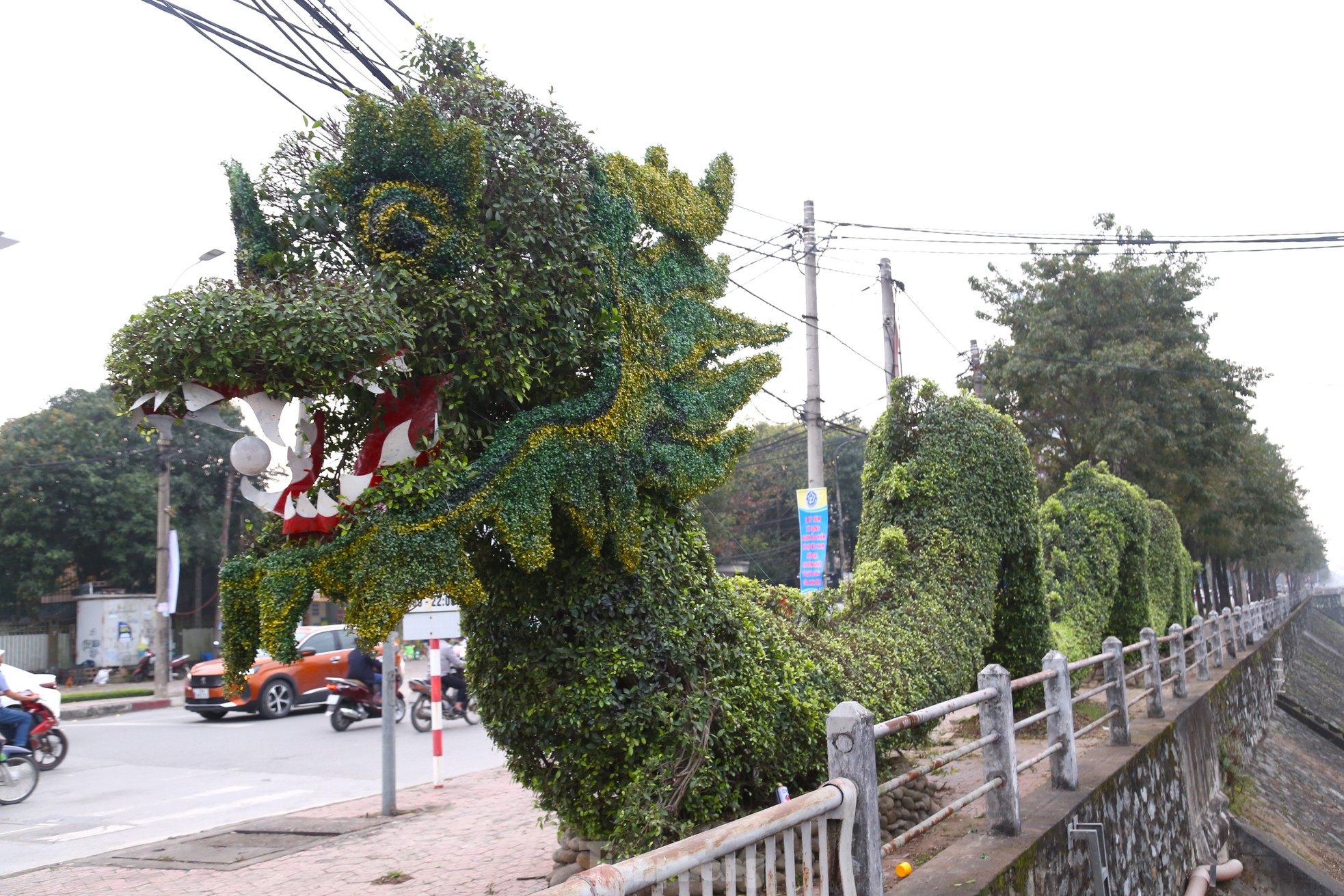 Bất ngờ diện mạo mới của cặp rồng xanh ở Vinh sau 'thẩm mỹ' - Ảnh 10.