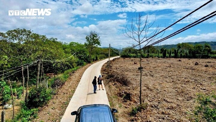 Trào lưu ‘bỏ phố về rừng’ hạ nhiệt, đất giảm giá 30% cũng không ai mua - Ảnh 2.