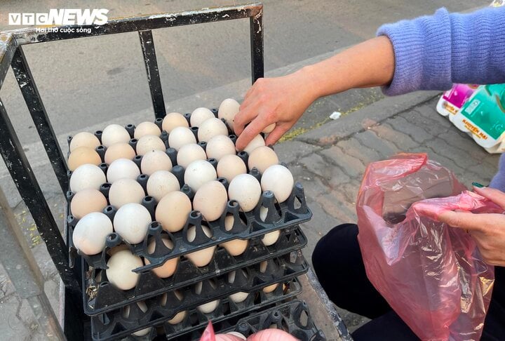 Trứng gà rớt giá thảm chỉ còn 1.500 đồng/quả, nông dân lỗ 1,5 triệu đồng/ngày - Ảnh 2.