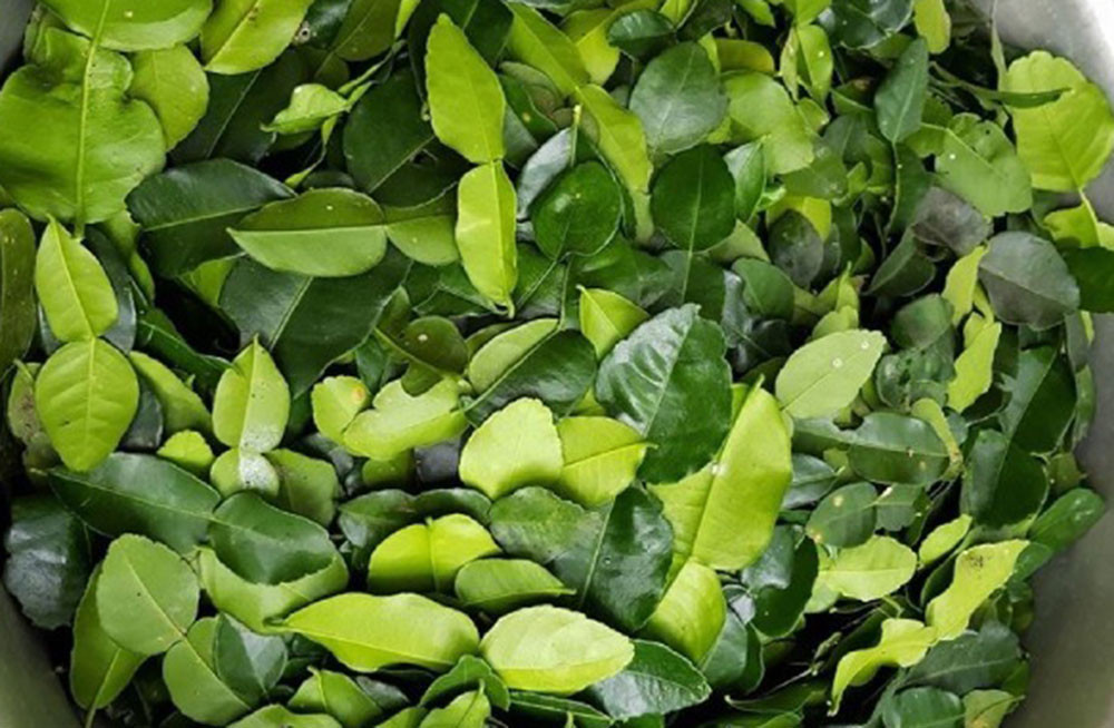 Loại lá thường được cho ở chợ Việt, ra nước ngoài 8 triệu/kg, tác dụng cực tốt cho gan- Ảnh 2.