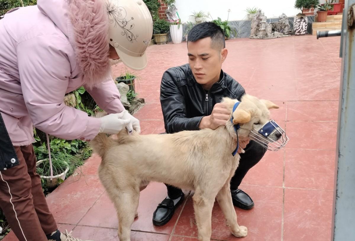 Quảng Ninh: Chó nhiễm virus dại, cắn 14 học sinh và người dân  - Ảnh 1.