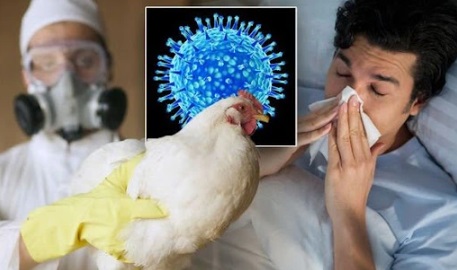 Thông tin mới nhất vụ nam sinh tử vong do cúm A/H5N1, đây có thể là yếu tố dịch tễ lây nhiễm bệnh - Ảnh 3.