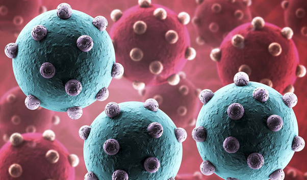 Thông tin mới nhất vụ nam sinh tử vong do cúm A/H5N1, đây có thể là yếu tố dịch tễ lây nhiễm bệnh - Ảnh 2.