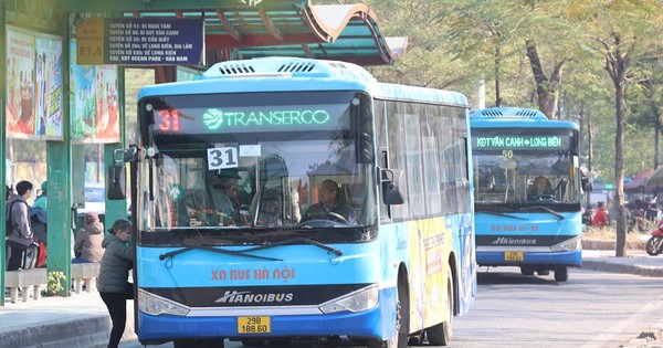 Hà Nội dừng hoạt động 5 tuyến buýt có doanh thu thấp từ 1/4