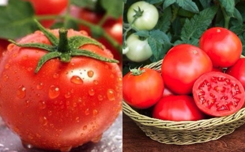 Giảm cân bằng cà chua, bạn đã biết cách ăn đúng?- Ảnh 1.
