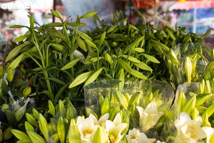 Hoa loa kèn đầu mùa xuống phố Hà Nội, giá chát vẫn hút khách mua - Ảnh 1.