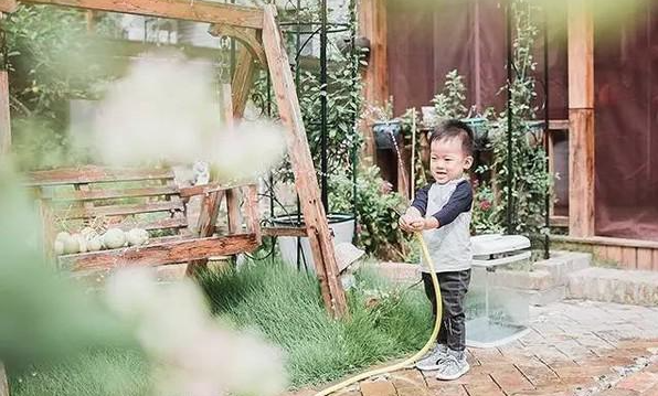 Bà mẹ trẻ tạo khu vườn hạnh phúc cho con trai để lưu giữ những khoảnh khắc đẹp nhất của tuổi thơ- Ảnh 12.