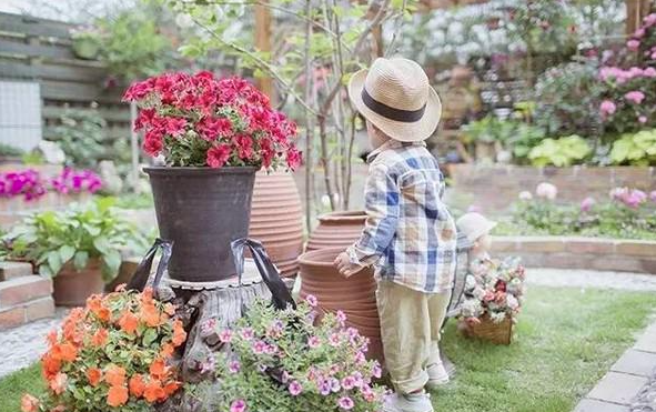 Bà mẹ trẻ tạo khu vườn hạnh phúc cho con trai để lưu giữ những khoảnh khắc đẹp nhất của tuổi thơ- Ảnh 13.