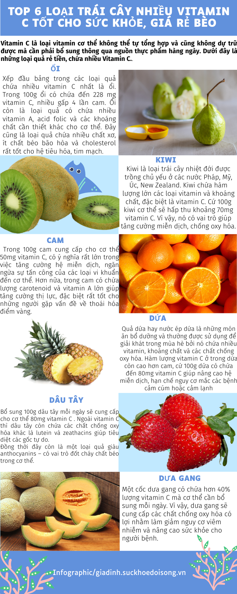 Top 6 loại trái cây nhiều vitamin C tốt cho sức khỏe, giá rẻ bèo - Ảnh 1.