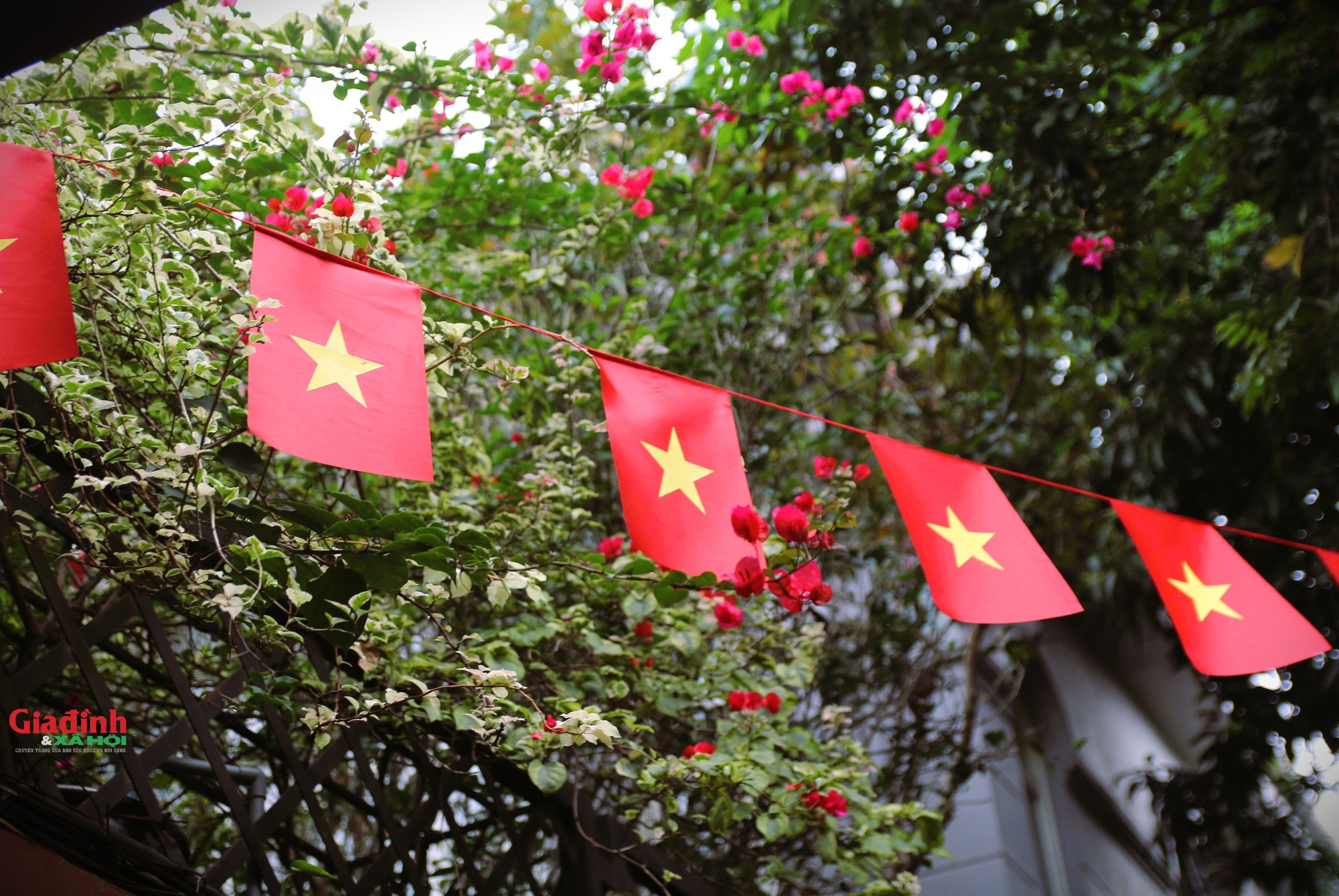 Độc lạ con ngách ở Hà Nội với hàng chục căn nhà 'mặc đồng phục'- Ảnh 9.