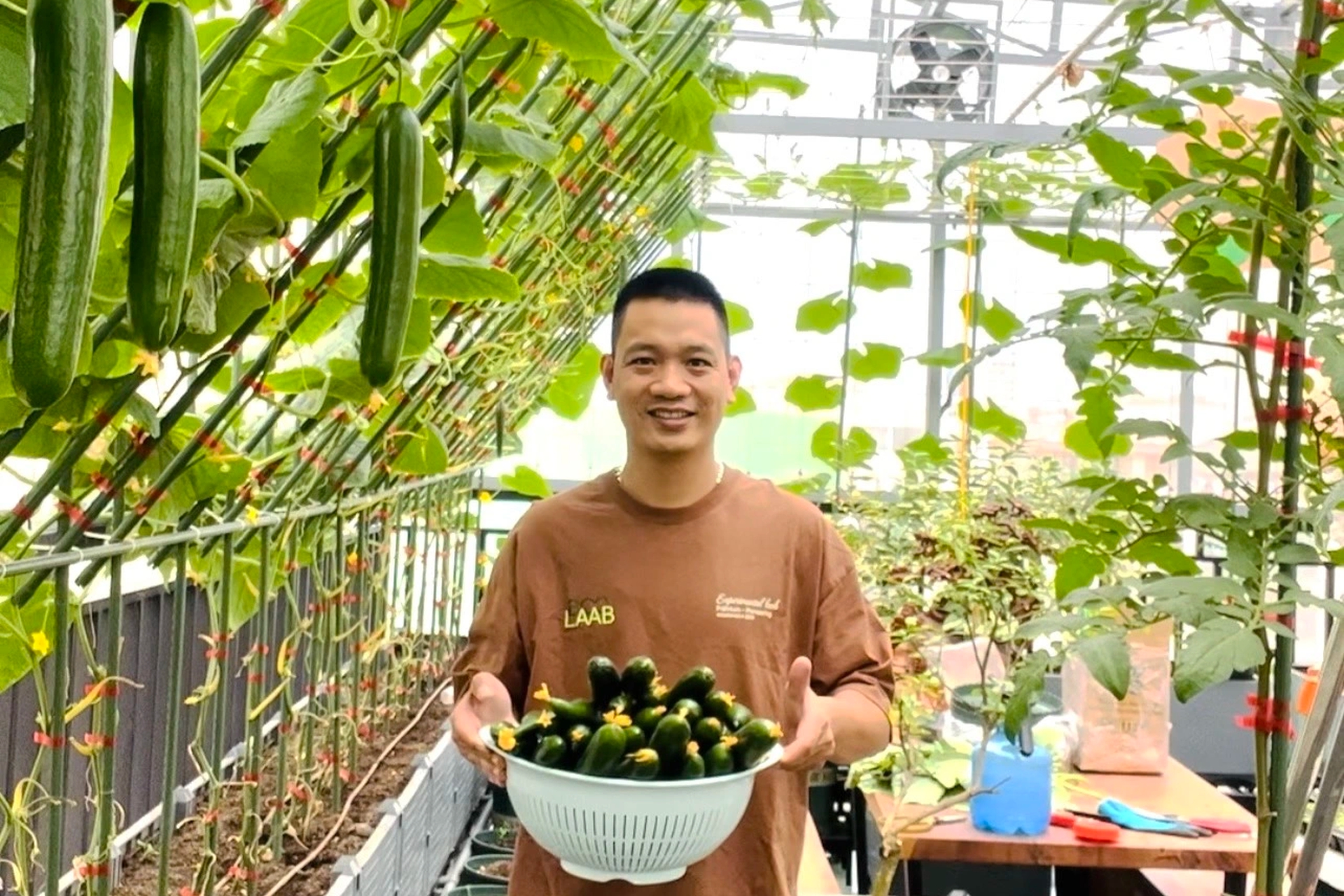 Ông bố ở Hà Nội chi nửa tỷ đồng làm vườn rau sân thượng - Ảnh 7.