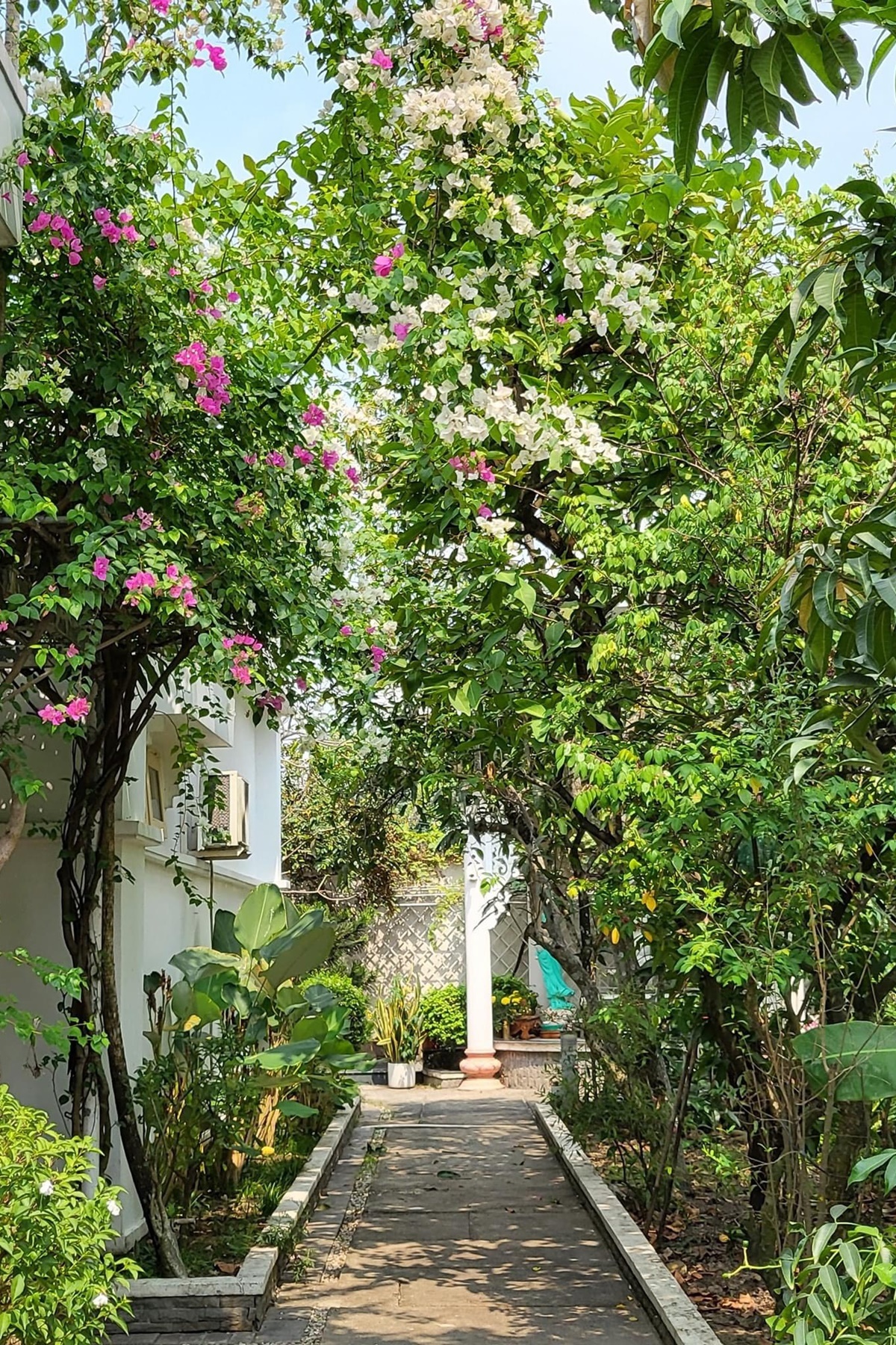 Việt Trinh để lộ cơ ngơi đẹp như resort ở Bình Dương, khu vườn tựa chốn bồng lai tiên cảnh - Ảnh 17.