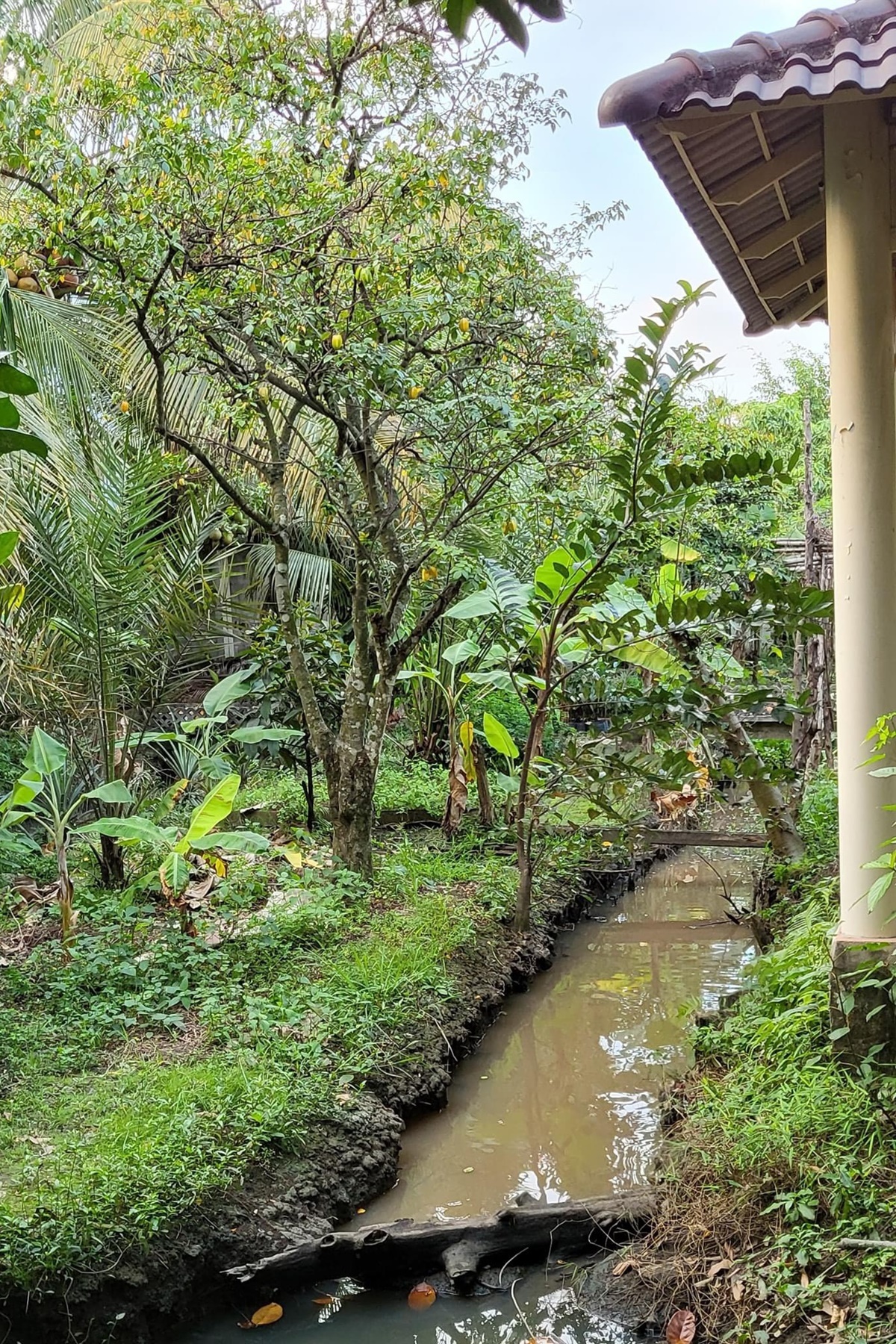 Việt Trinh để lộ cơ ngơi đẹp như resort ở Bình Dương, khu vườn tựa chốn bồng lai tiên cảnh - Ảnh 19.