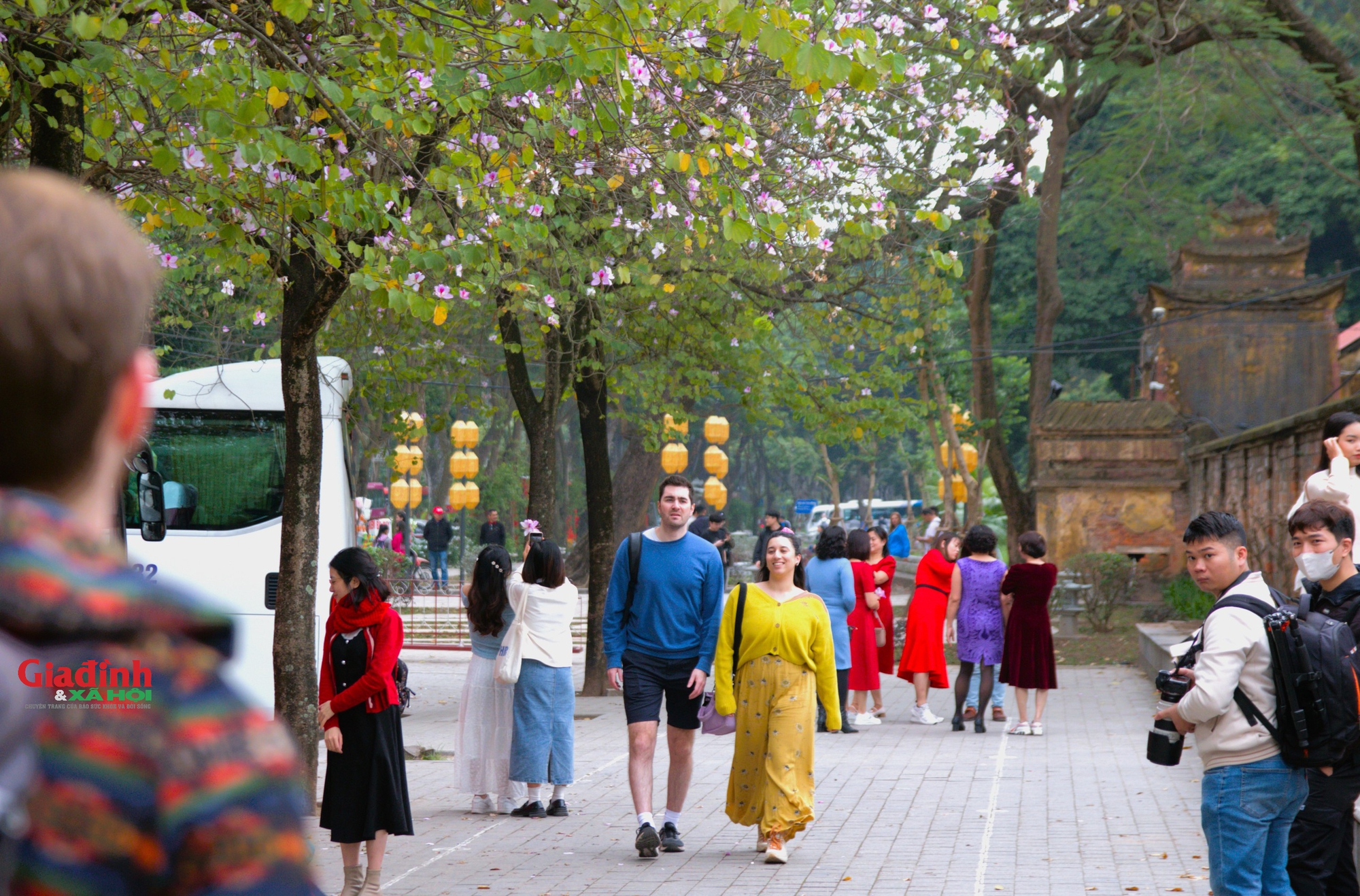 Ngắm hoa ban khoe sắc trên đường phố Hà Nội, người dân xúng xính váy áo ‘check in’ - Ảnh 10.