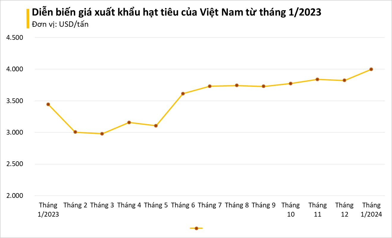 Đức bất ngờ săn lùng hàng trăm tấn 'vàng trên cây' của Việt Nam: tăng nhập khẩu hơn 400%, giá lập đỉnh giúp người dân trúng đậm - Ảnh 2.