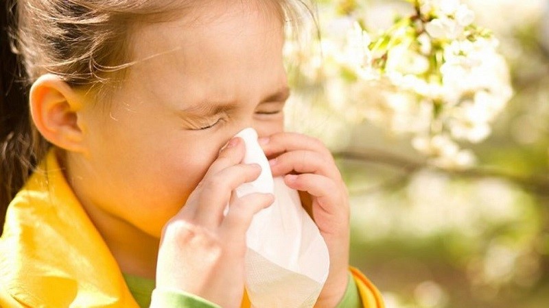 Những điều cha mẹ cần biết khi điều trị viêm mũi dị ứng cho trẻ- Ảnh 1.