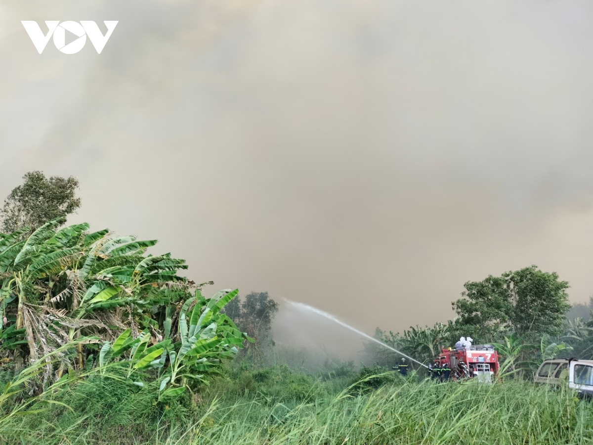 Cháy hàng chục ha rừng tràm trong lâm phần U Minh hạ - Ảnh 1.