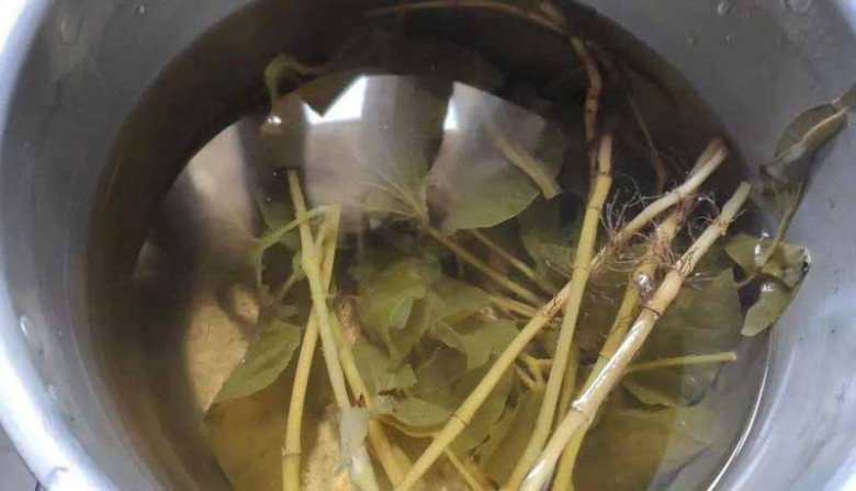 Hòa Minzy sạch mụn nhờ loại rau được người Nhật ví như 'rau giải độc', bán đầy ở chợ Việt- Ảnh 9.