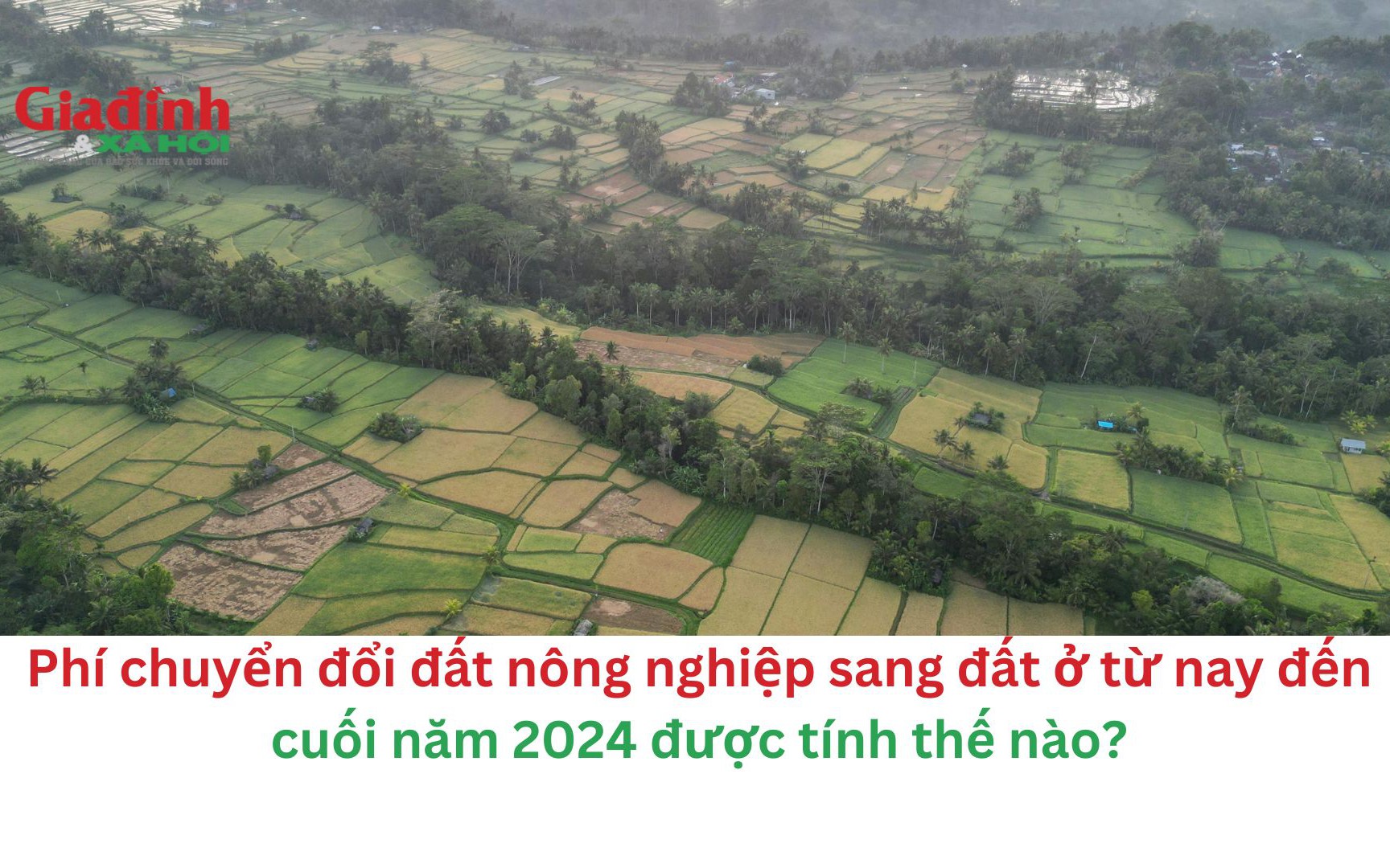 Phí chuyển đổi đất nông nghiệp sang đất ở từ nay đến cuối năm 2024 được tính thế nào?