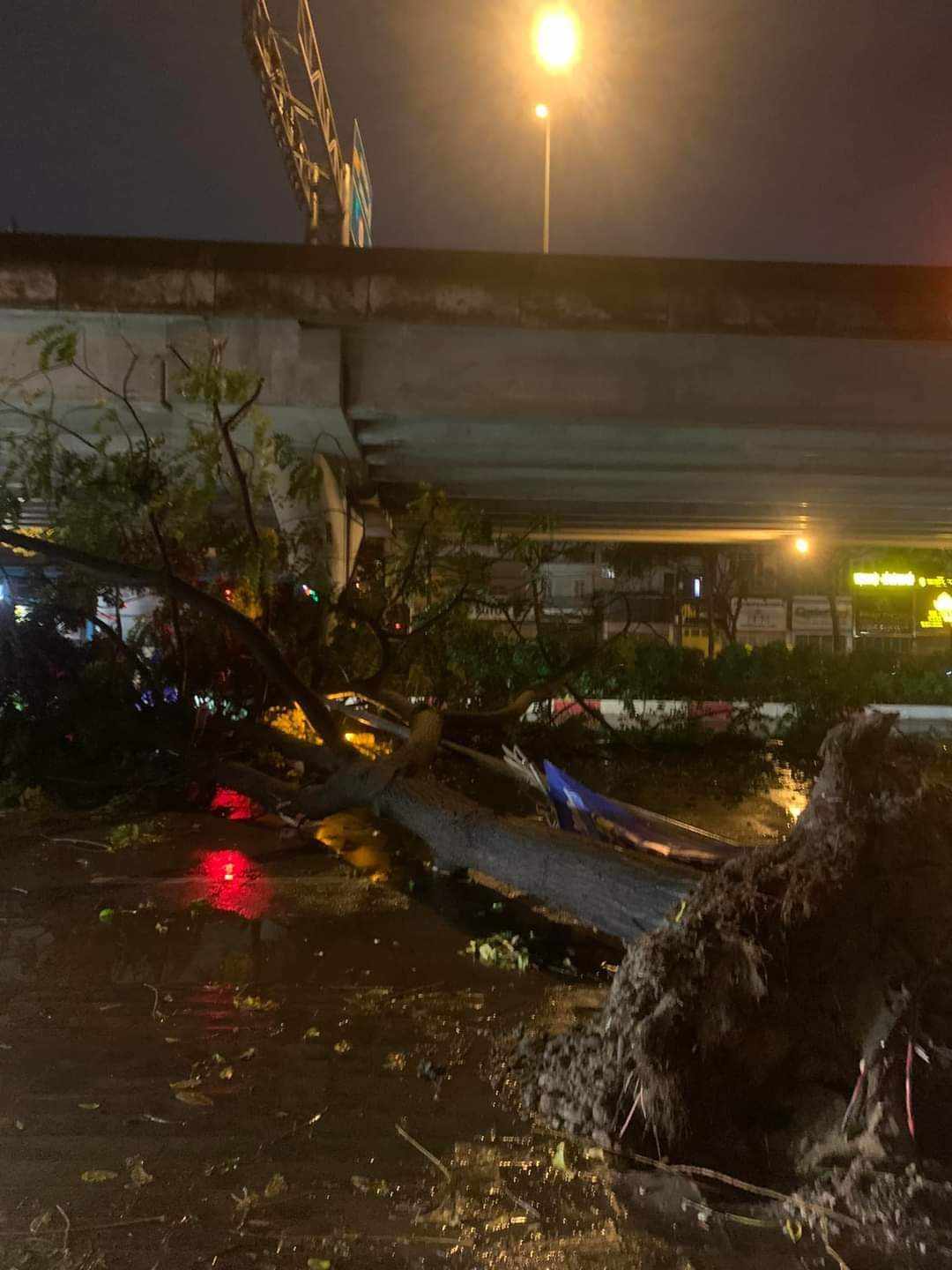 Nhiều xe sang bị cây đổ đè trúng trong trận dông lốc, mưa đá lớn ở Hà Nội- Ảnh 9.