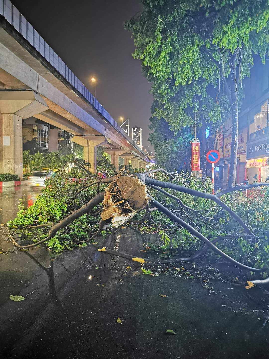 Nhiều xe sang bị cây đổ đè trúng trong trận dông lốc, mưa đá lớn ở Hà Nội- Ảnh 8.