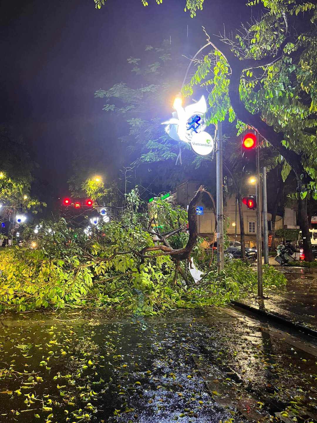 Nhiều xe sang bị cây đổ đè trúng trong trận dông lốc, mưa đá lớn ở Hà Nội- Ảnh 7.