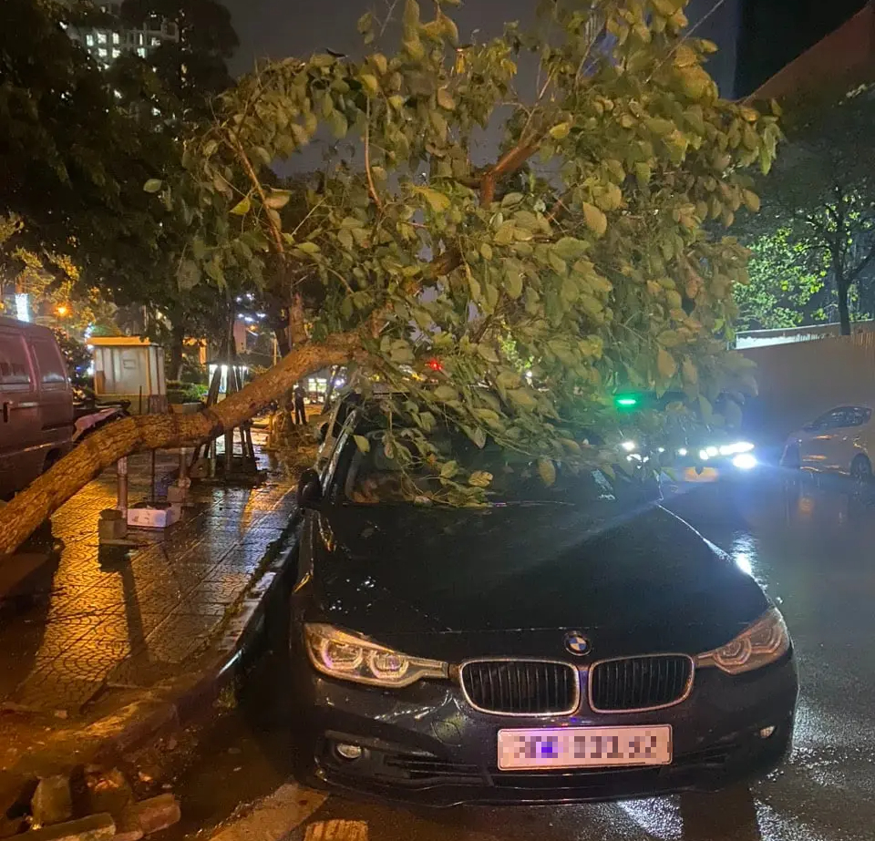 Nhiều xe sang bị cây đổ đè trúng trong trận dông lốc, mưa đá lớn ở Hà Nội- Ảnh 2.