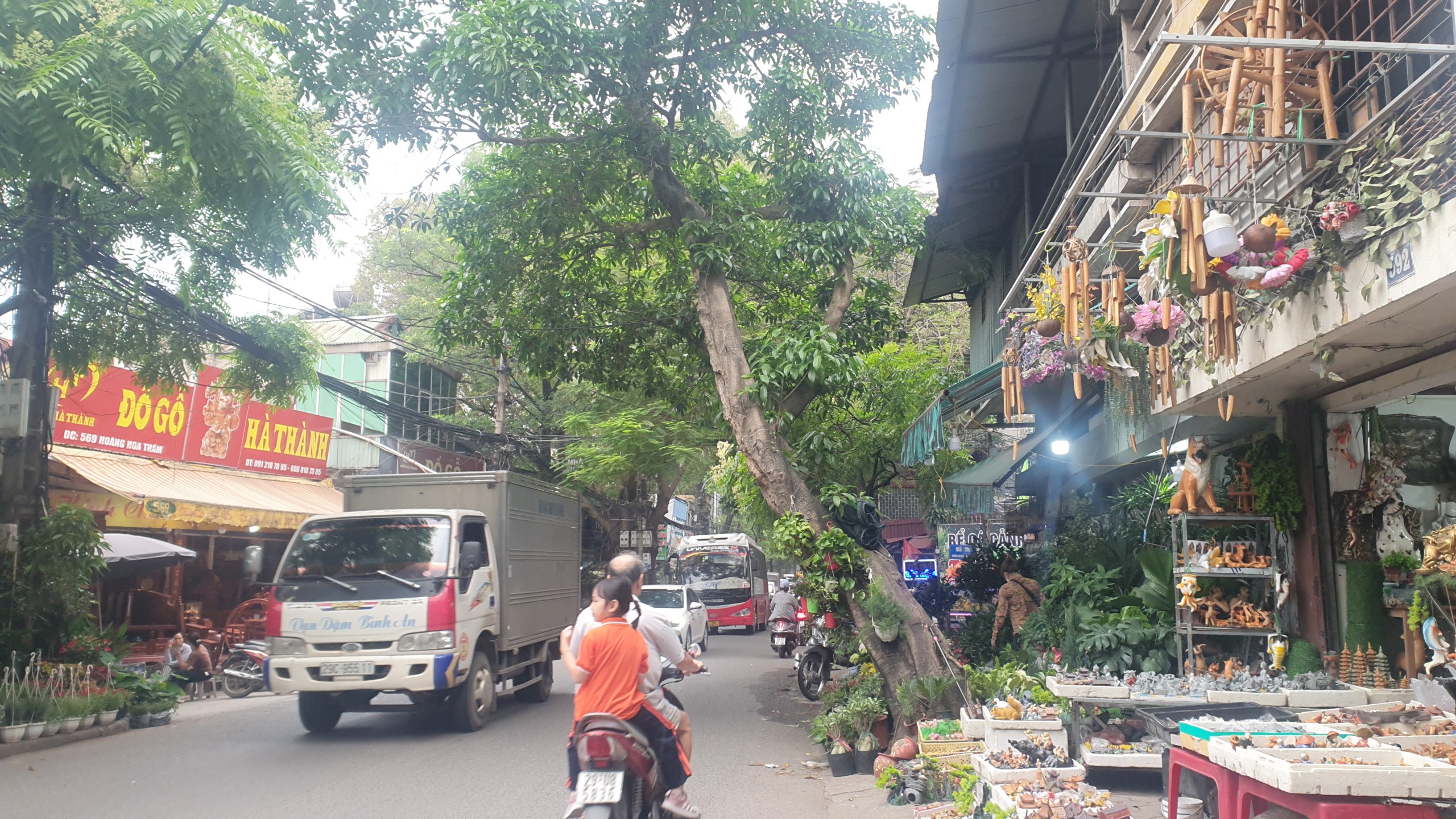 Nhiều cây xanh trên các tuyến phố ở Hà Nội tiềm ẩn nguy cơ đổ, gãy nếu xảy ra mưa dông- Ảnh 18.