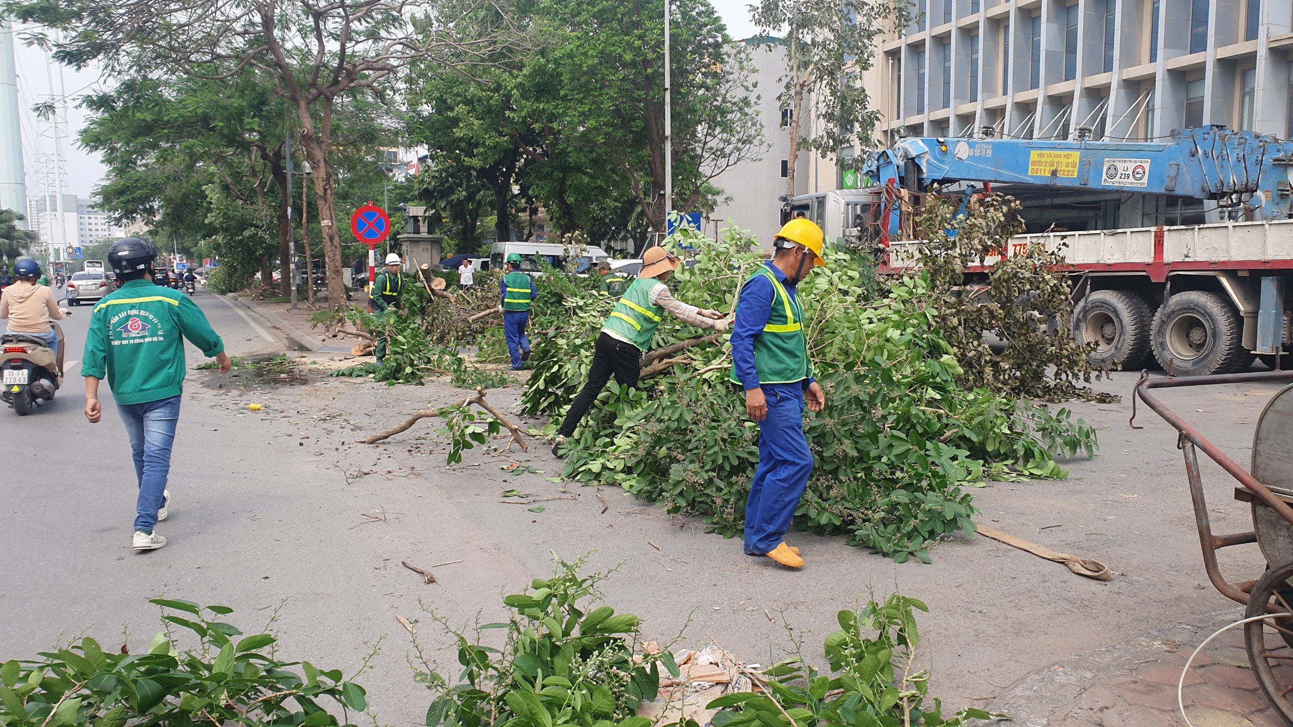 Nhiều cây xanh trên các tuyến phố ở Hà Nội tiềm ẩn nguy cơ đổ, gãy nếu xảy ra mưa dông- Ảnh 10.