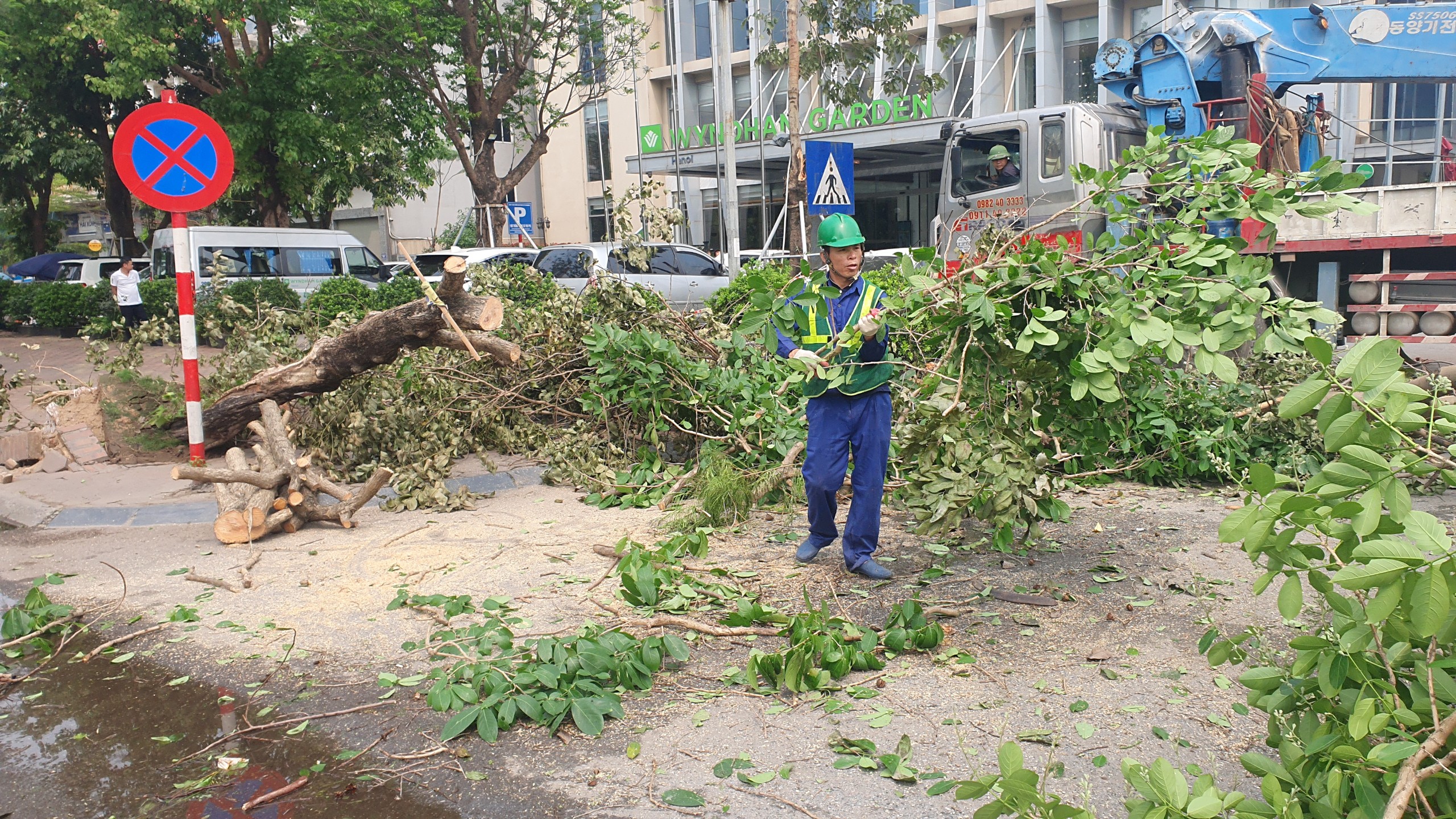 Nhiều cây xanh trên các tuyến phố ở Hà Nội tiềm ẩn nguy cơ đổ, gãy nếu xảy ra mưa dông- Ảnh 14.