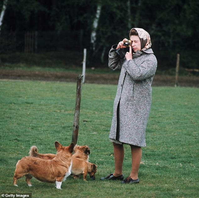 Tượng đài Nữ vương Elizabeth II cùng 3 chú chó corgi được khánh thành, người dân Anh xúc động tưởng nhớ vị vua đáng kính- Ảnh 4.