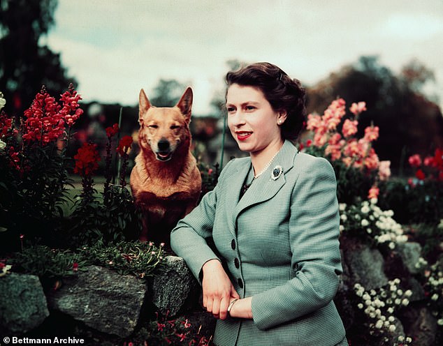 Tượng đài Nữ vương Elizabeth II cùng 3 chú chó corgi được khánh thành, người dân Anh xúc động tưởng nhớ vị vua đáng kính- Ảnh 3.