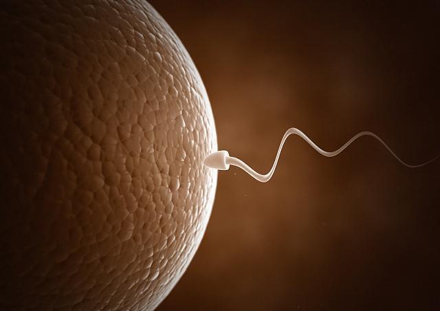 Nam thanh niên 27 tuổi có tỉ lệ tinh trùng bất thường 97% chỉ vì vợ chồng &quot;nín thở&quot; chờ trứng rụng để thụ thai- Ảnh 4.