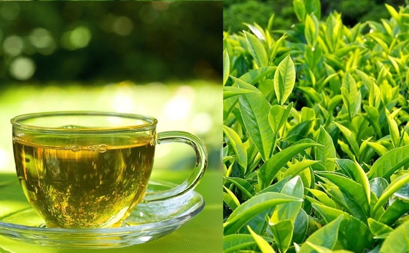 Mùa hè, uống trà xanh theo cách này còn tốt hơn thuốc bổ, đây có thể là 'bí quyết sống thọ' của người Nhật - Ảnh 3.