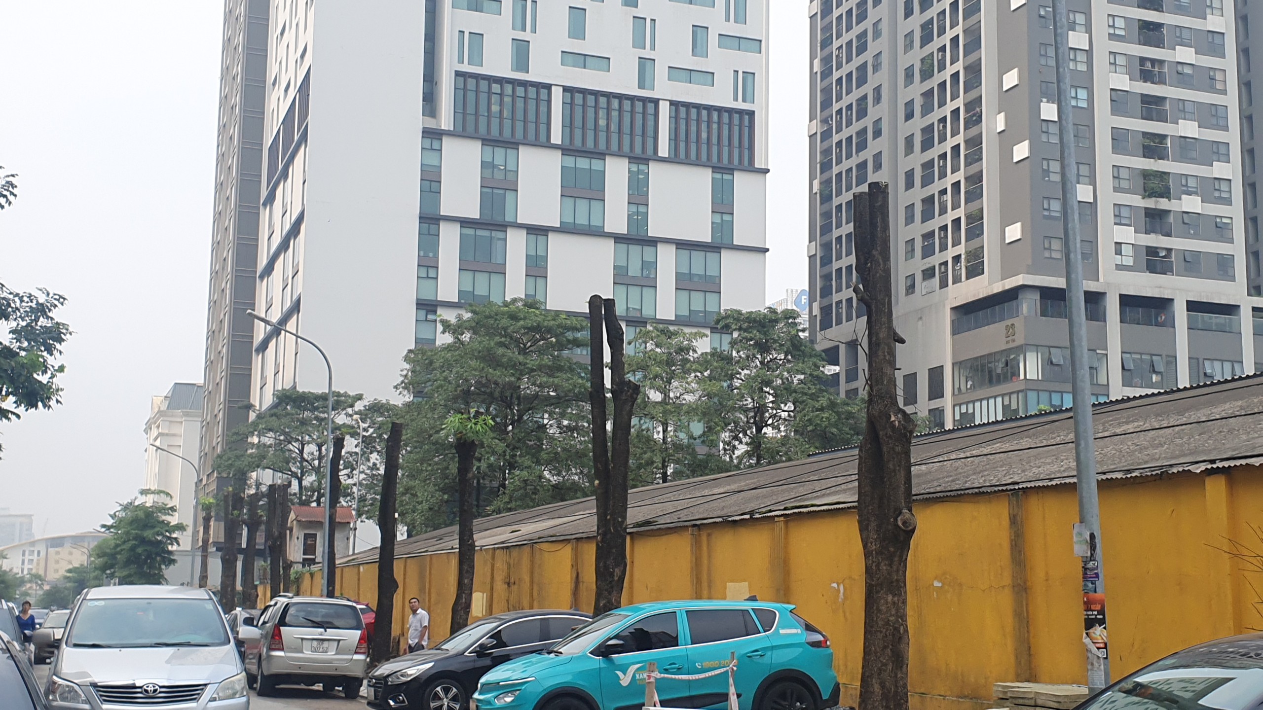 Loạt cây xanh lâu năm ở Hà Nội 'mất ngọn', trơ trụi để triển khai dự án- Ảnh 21.
