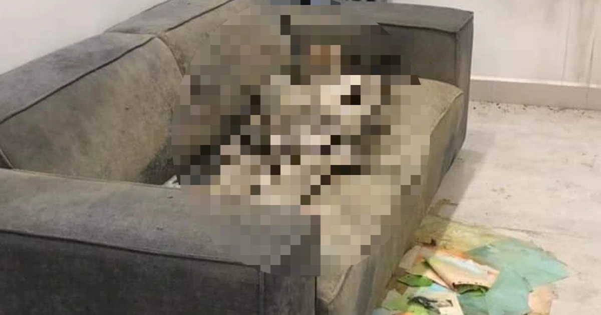 Phát hiện thi thể nữ giới trên sofa tại căn hộ chung cư Hà Nội
