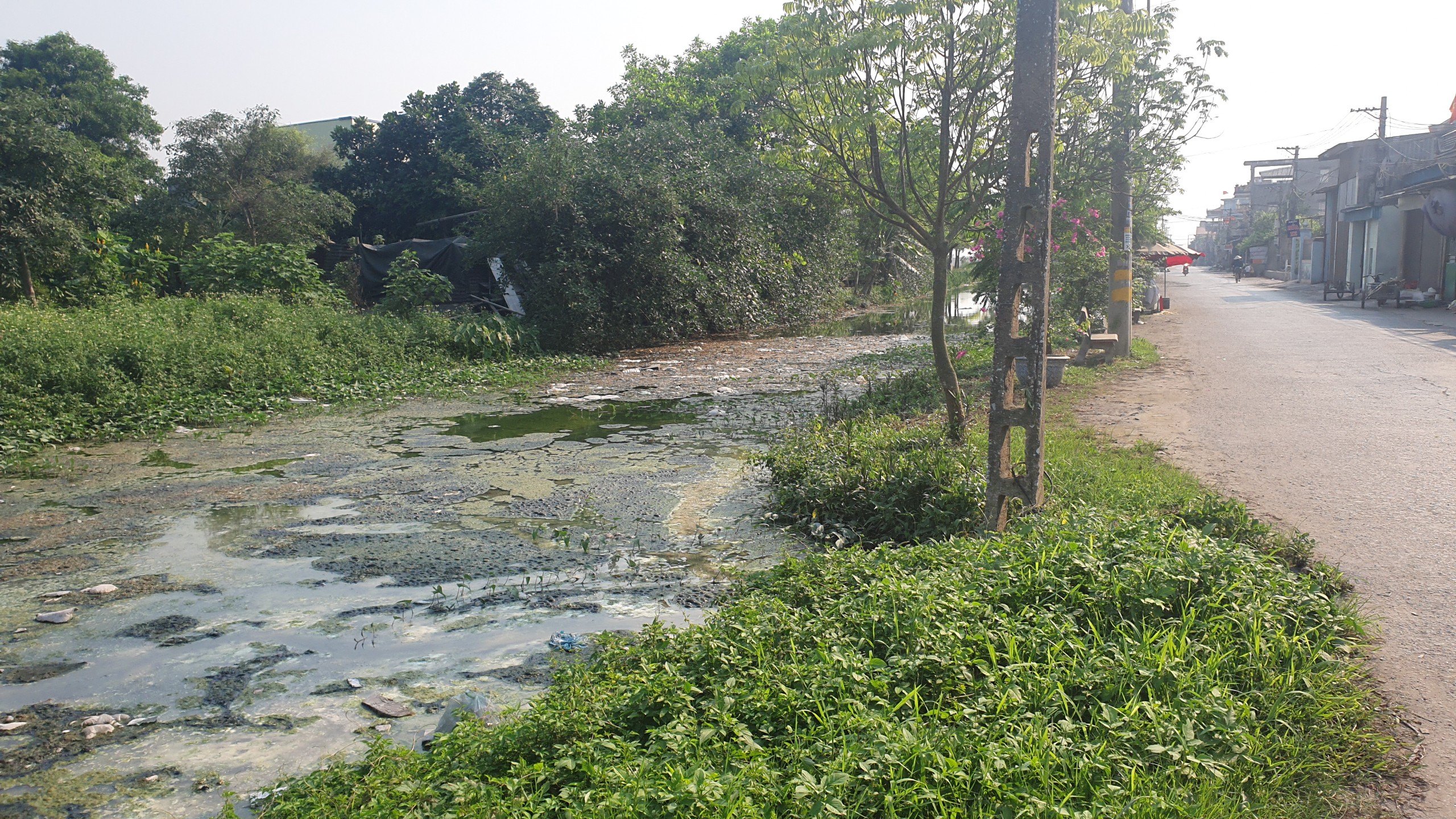 Nam Định: Sông, kênh mương xung quanh làng nghề tái chế nhôm đặc quánh, bốc mùi- Ảnh 10.