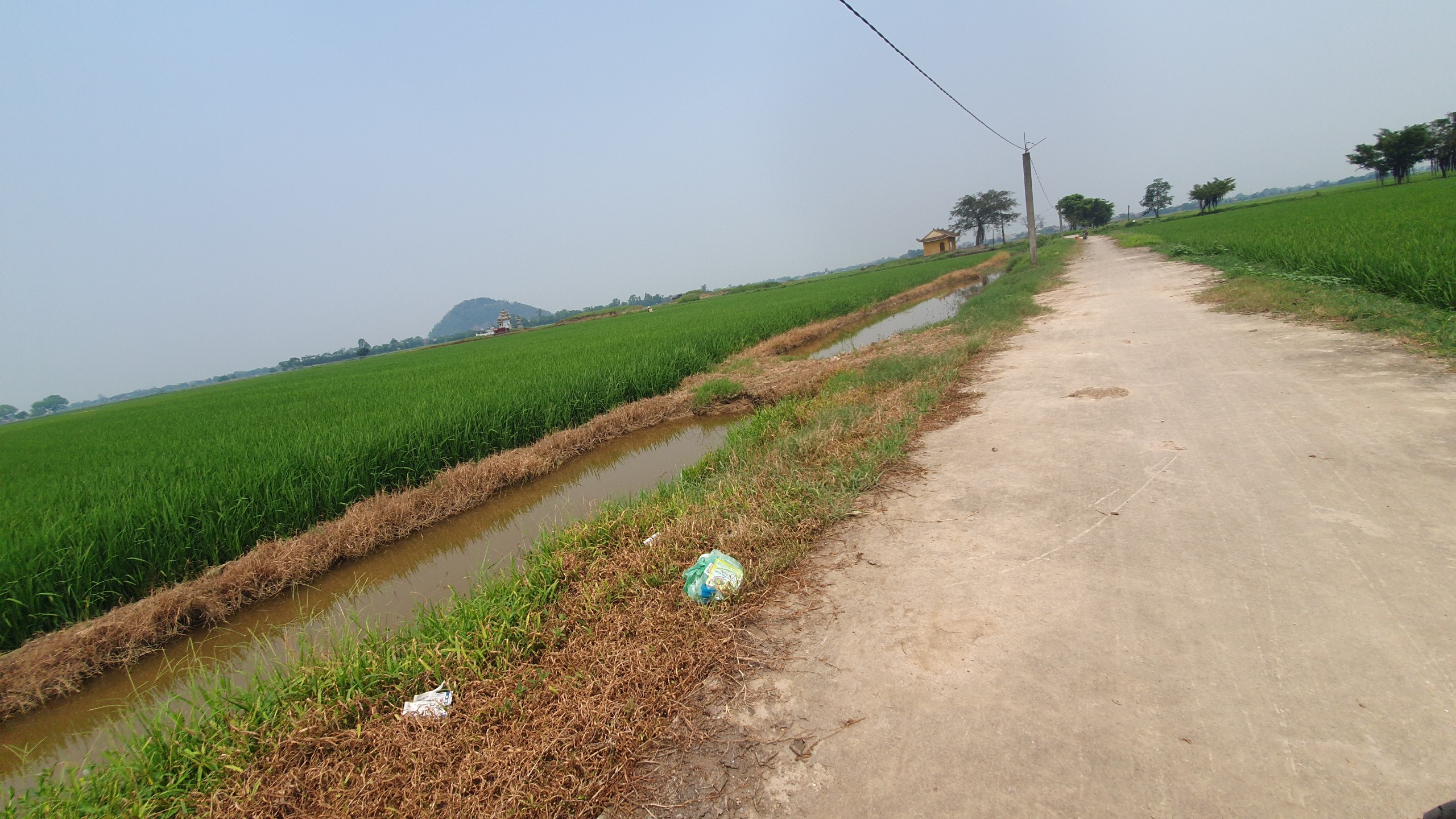 Nam Định: 'Ám ảnh' vỏ thuốc bảo vệ thực vật vứt tràn lan bờ ruộng, kênh mương- Ảnh 21.