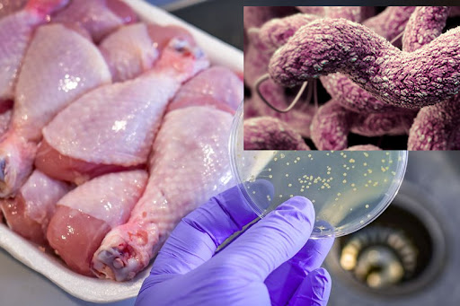 Sau hàng loạt vụ ngộ độc thực phẩm liên quan đến ăn thịt gà, khi ăn cần làm đúng điều này để phòng bệnh! - Ảnh 3.