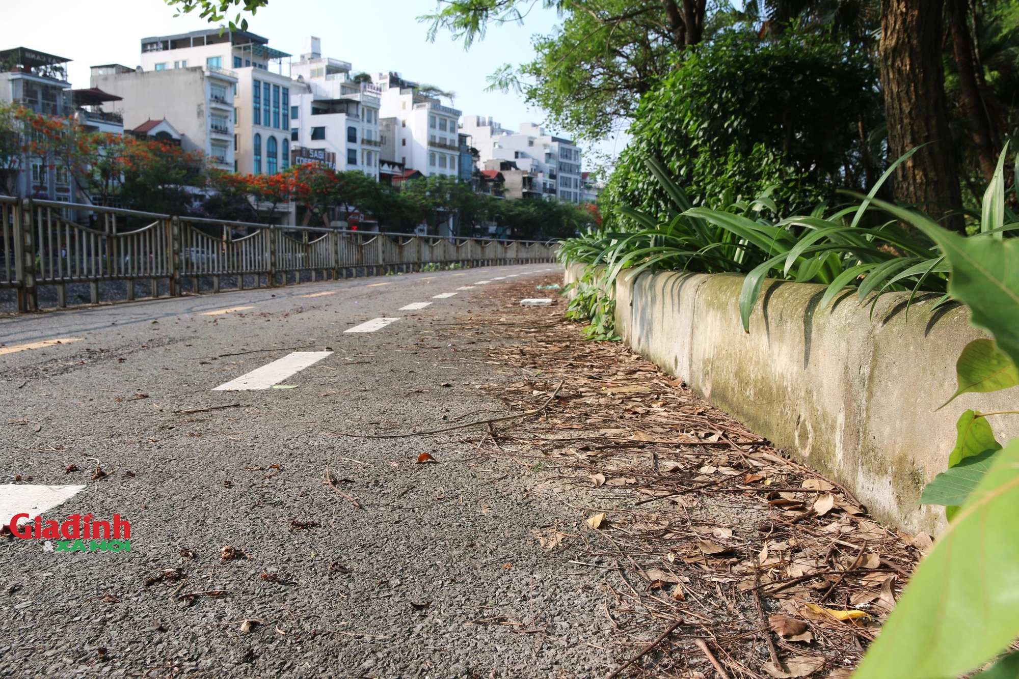 Đường dành cho xe đạp ở Hà Nội 'ảm đạm', bị lấn chiếm làm nơi đỗ xe, đổ rác thải- Ảnh 13.