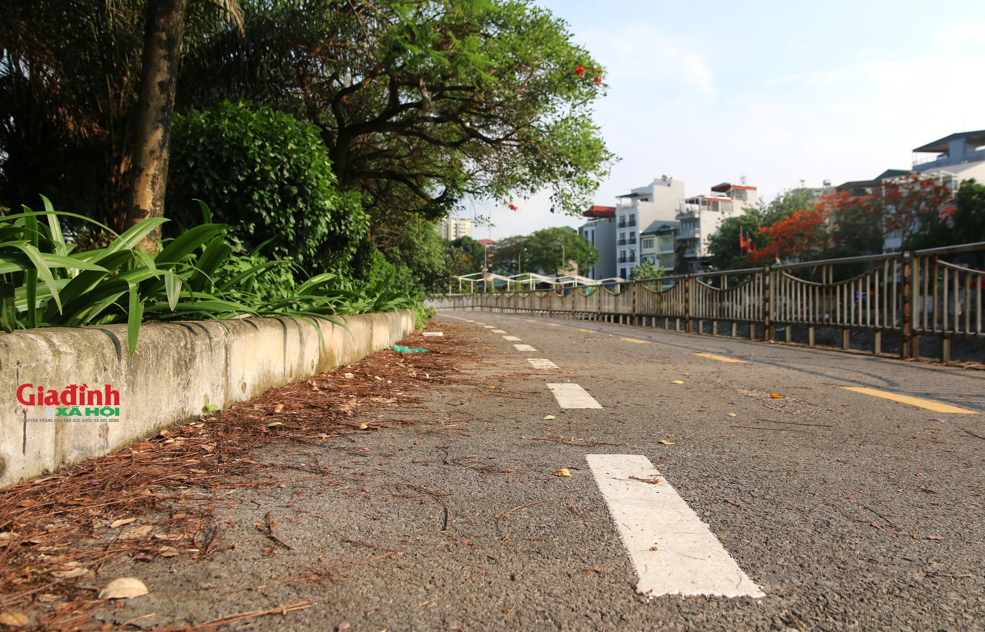 Đường dành cho xe đạp ở Hà Nội 'ảm đạm', bị lấn chiếm làm nơi đỗ xe, đổ rác thải- Ảnh 2.