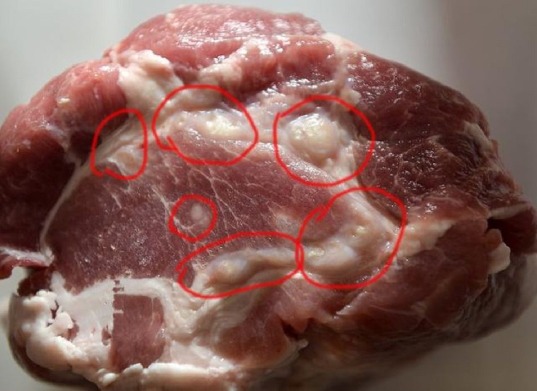 Đi chợ mua thịt lợn chỉ cần nhìn 5 điểm này là biết thịt sạch hay bẩn- Ảnh 3.