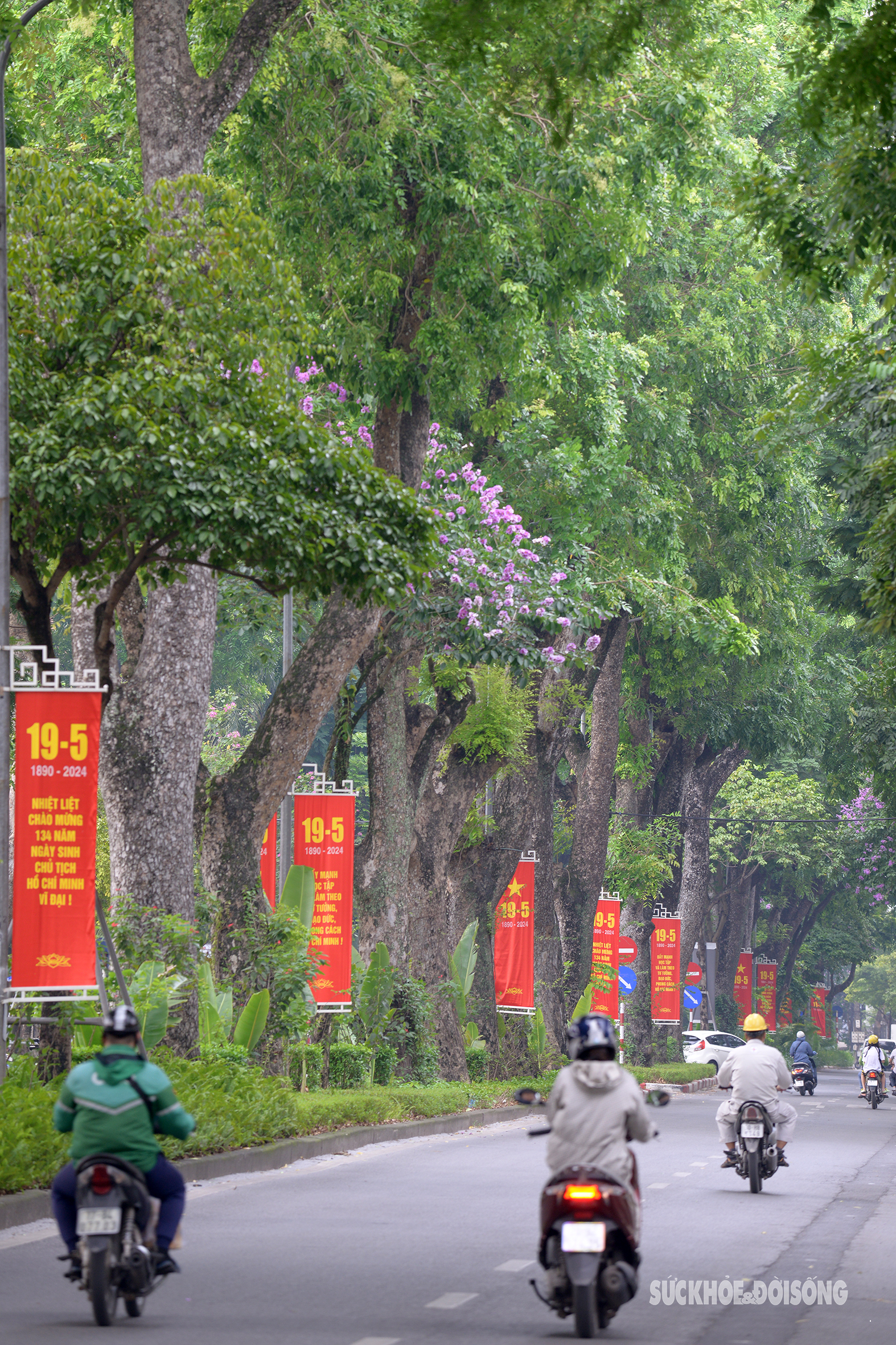 Hà Nội rợp cờ hoa kỷ niệm 134 năm Ngày sinh Chủ tịch Hồ Chí Minh- Ảnh 3.