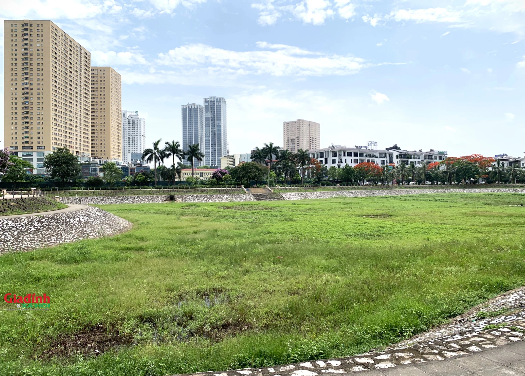 Mưa lớn nhiều ngày, hồ điều hòa rộng 2,7 ha ở Hà Nội vẫn cạn trơ đáy, cỏ dại mọc um tùm - Ảnh 1.