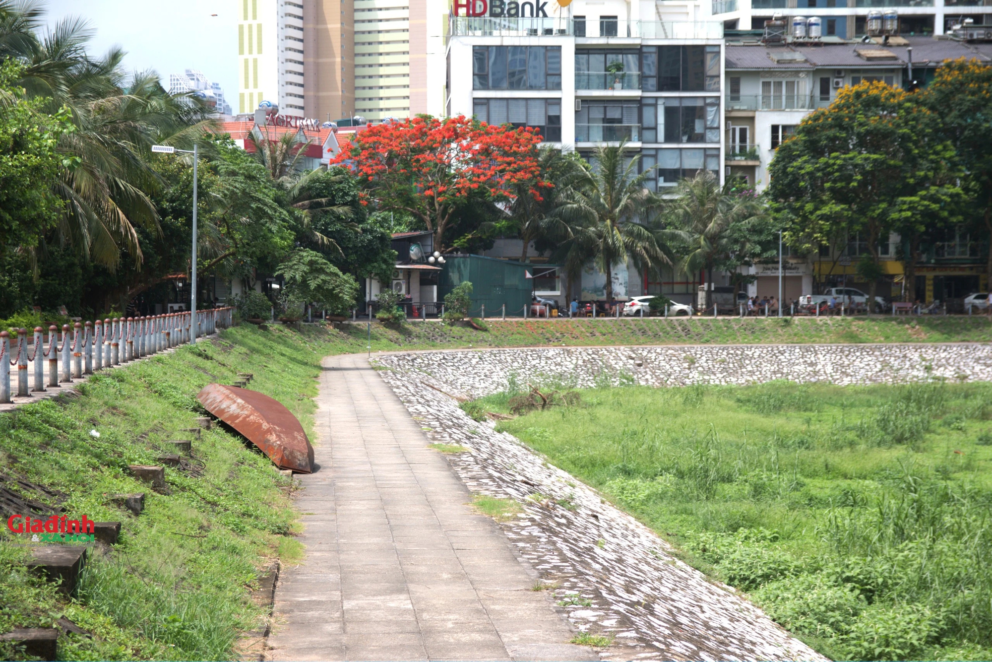 Mưa lớn nhiều ngày, hồ điều hòa rộng 2,7 ha ở Hà Nội vẫn cạn trơ đáy, cỏ dại mọc um tùm - Ảnh 3.