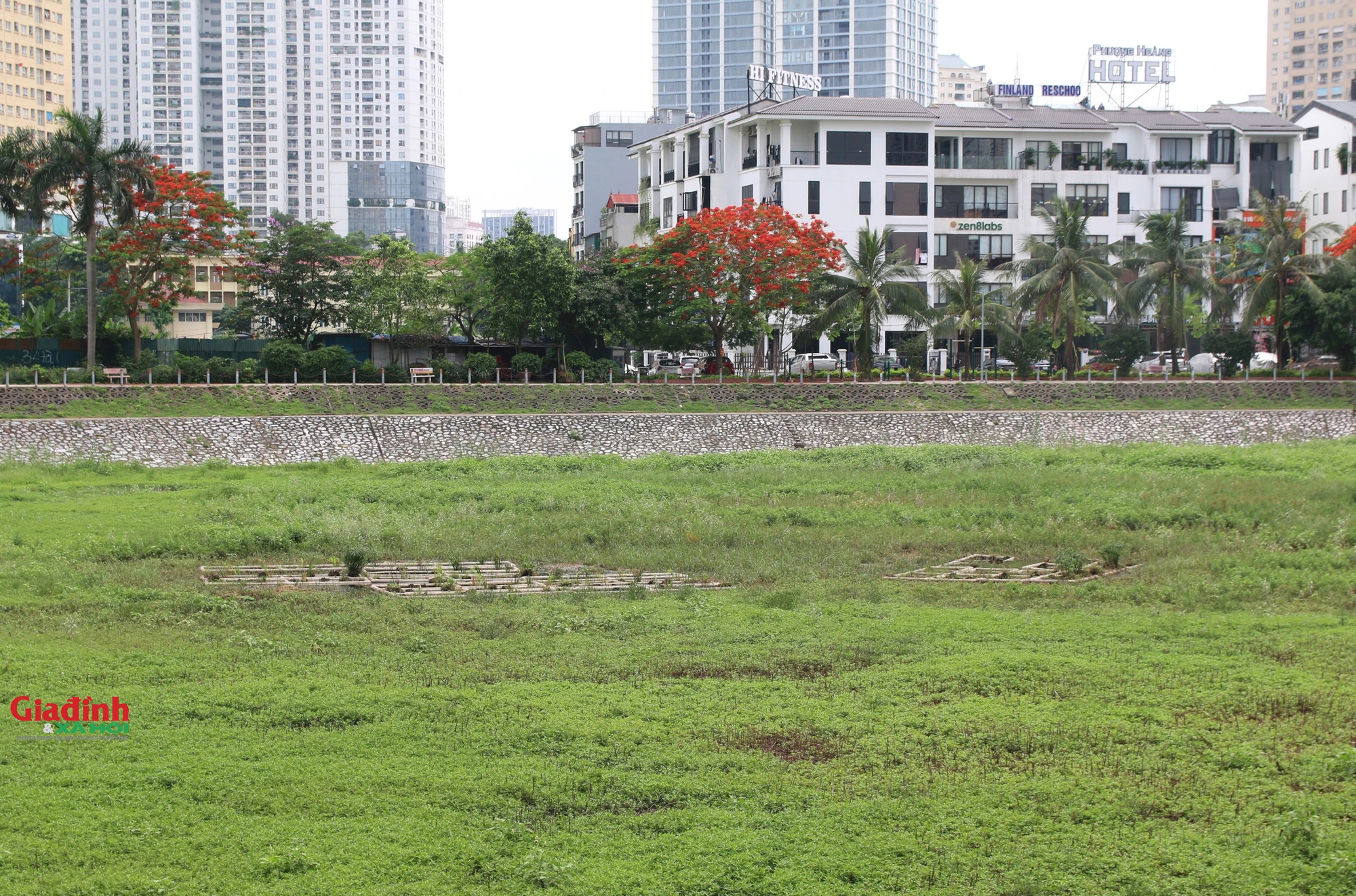 Mưa lớn nhiều ngày, hồ điều hòa rộng 2,7 ha ở Hà Nội vẫn cạn trơ đáy, cỏ dại mọc um tùm - Ảnh 4.