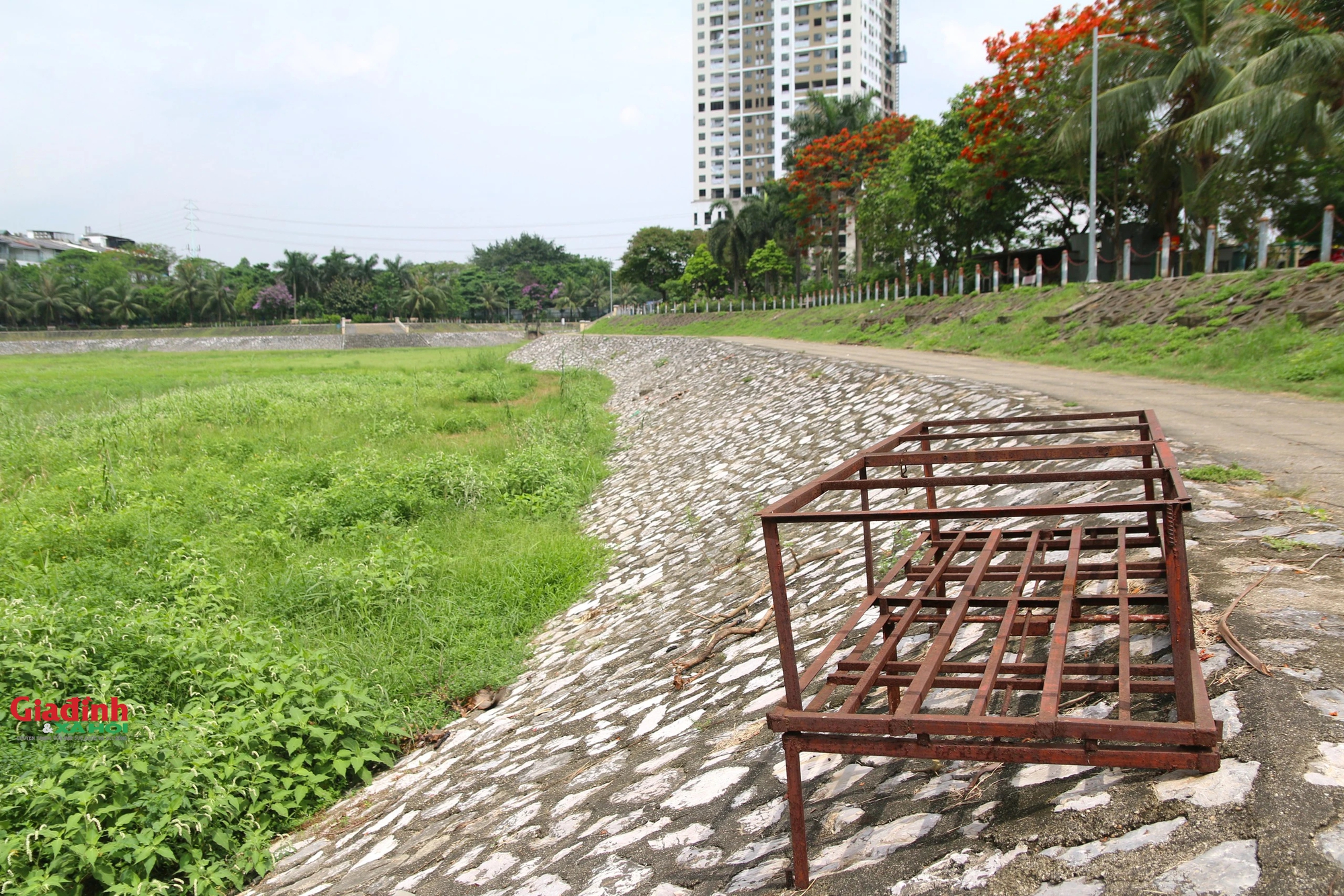 Mưa lớn nhiều ngày, hồ điều hòa rộng 2,7 ha ở Hà Nội vẫn cạn trơ đáy, cỏ dại mọc um tùm - Ảnh 6.