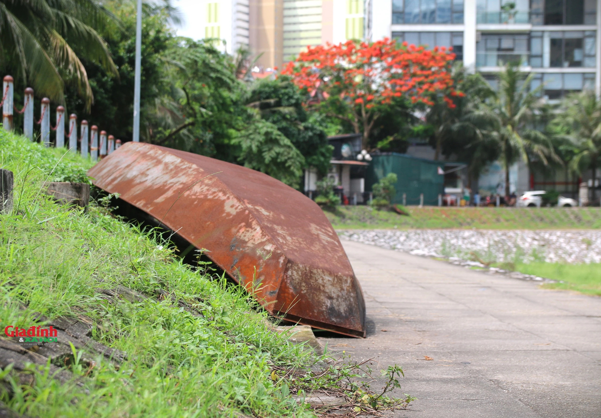 Mưa lớn nhiều ngày, hồ điều hòa rộng 2,7 ha ở Hà Nội vẫn cạn trơ đáy, cỏ dại mọc um tùm - Ảnh 8.