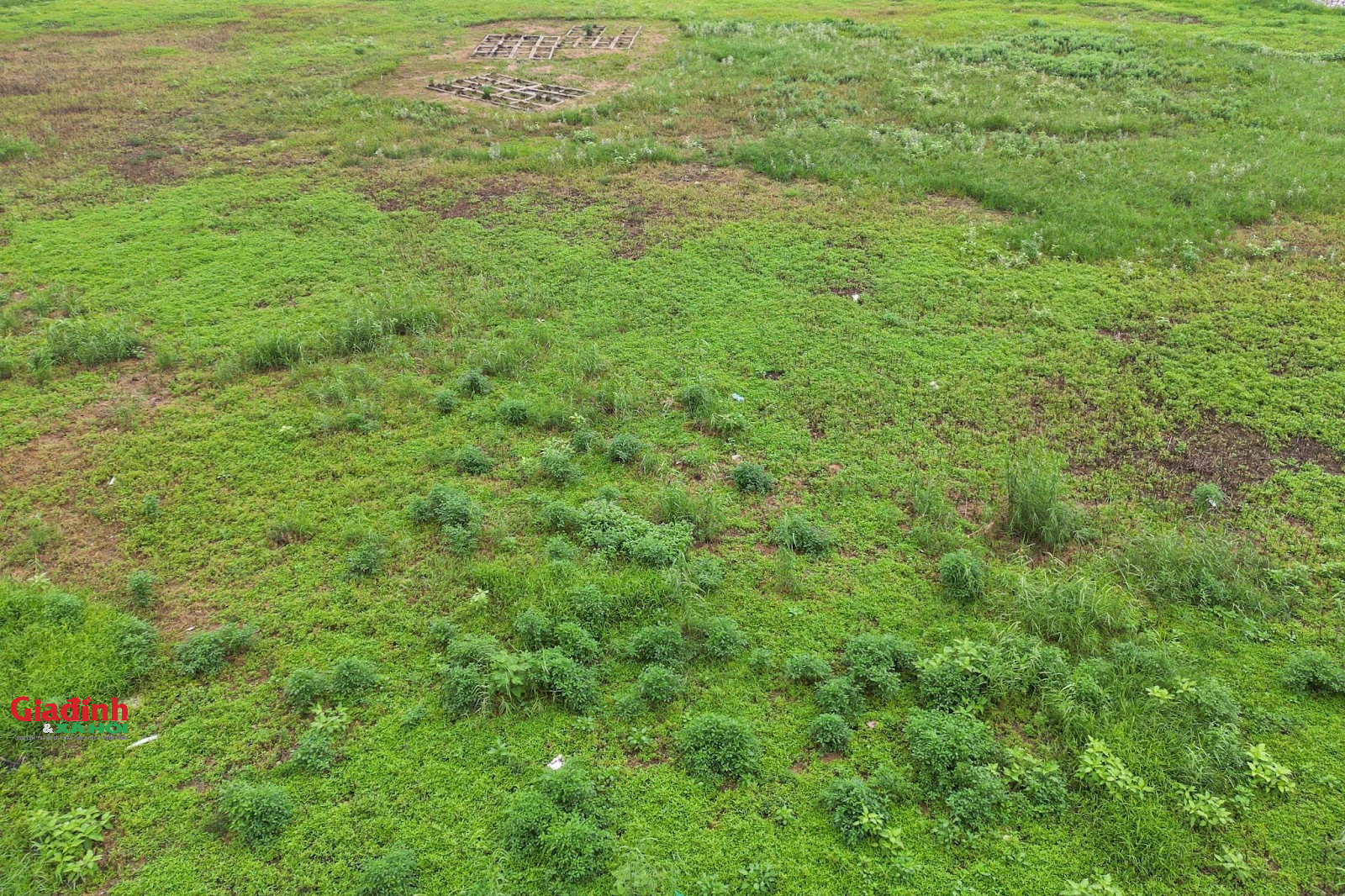 Mưa lớn nhiều ngày, hồ điều hòa rộng 2,7 ha ở Hà Nội vẫn cạn trơ đáy, cỏ dại mọc um tùm - Ảnh 11.