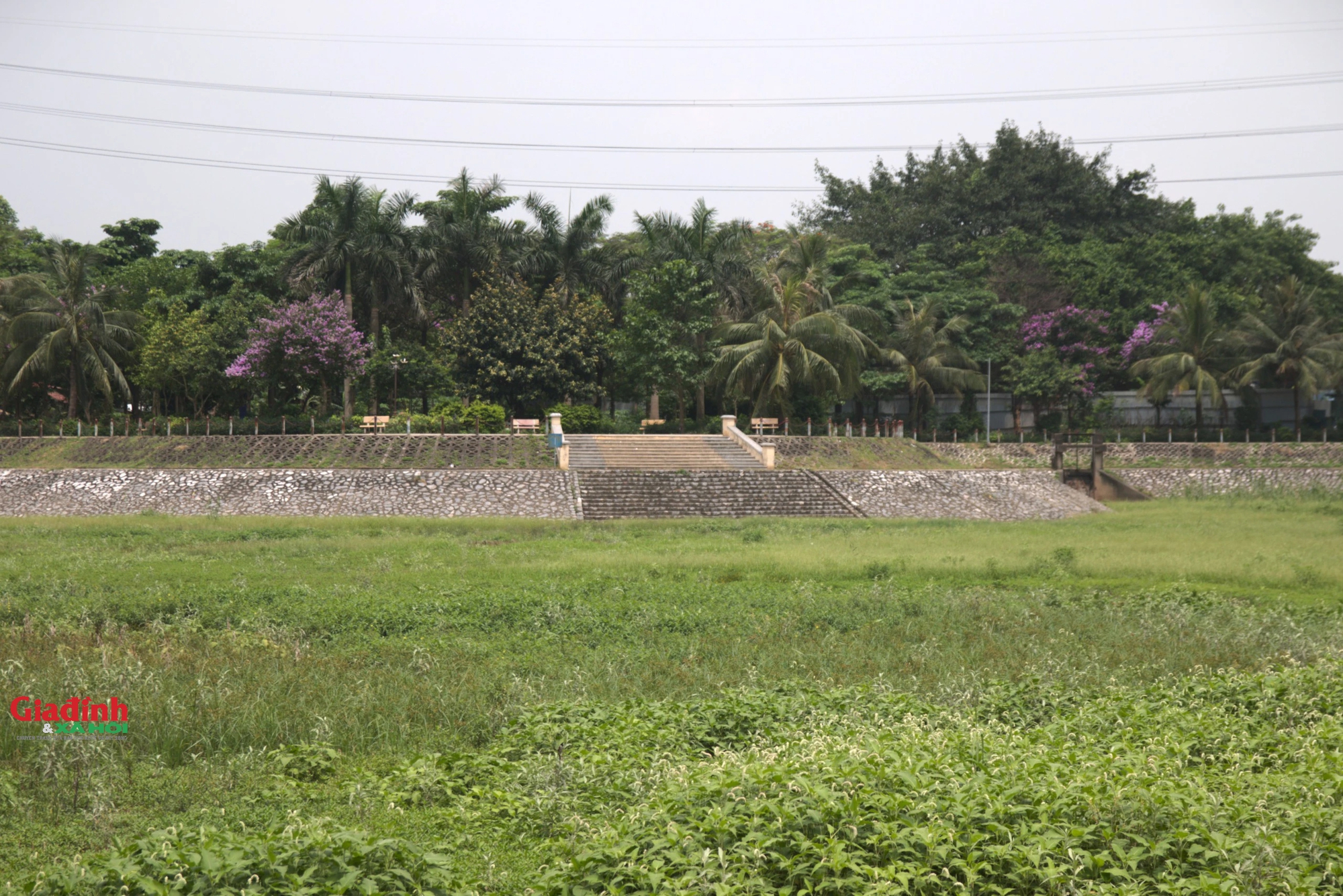 Mưa lớn nhiều ngày, hồ điều hòa rộng 2,7 ha ở Hà Nội vẫn cạn trơ đáy, cỏ dại mọc um tùm - Ảnh 12.